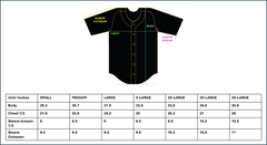 Delta Nu Baseball Jersey (Contact: Toisaun Denson)