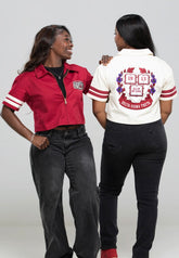 Delta Sigma Theta Mechanical Shirt