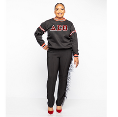 Delta Sigma Theta Glitter Greek Letters Iron Patches