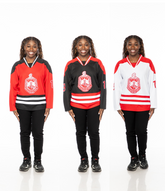 Delta Sigma Theta Embroidery Hockey Jersey