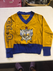 Sigma Gamma Rho V Neck Vintage Sweater