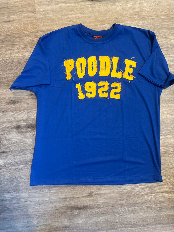 Sigma Gamma Rho Distressed Tee