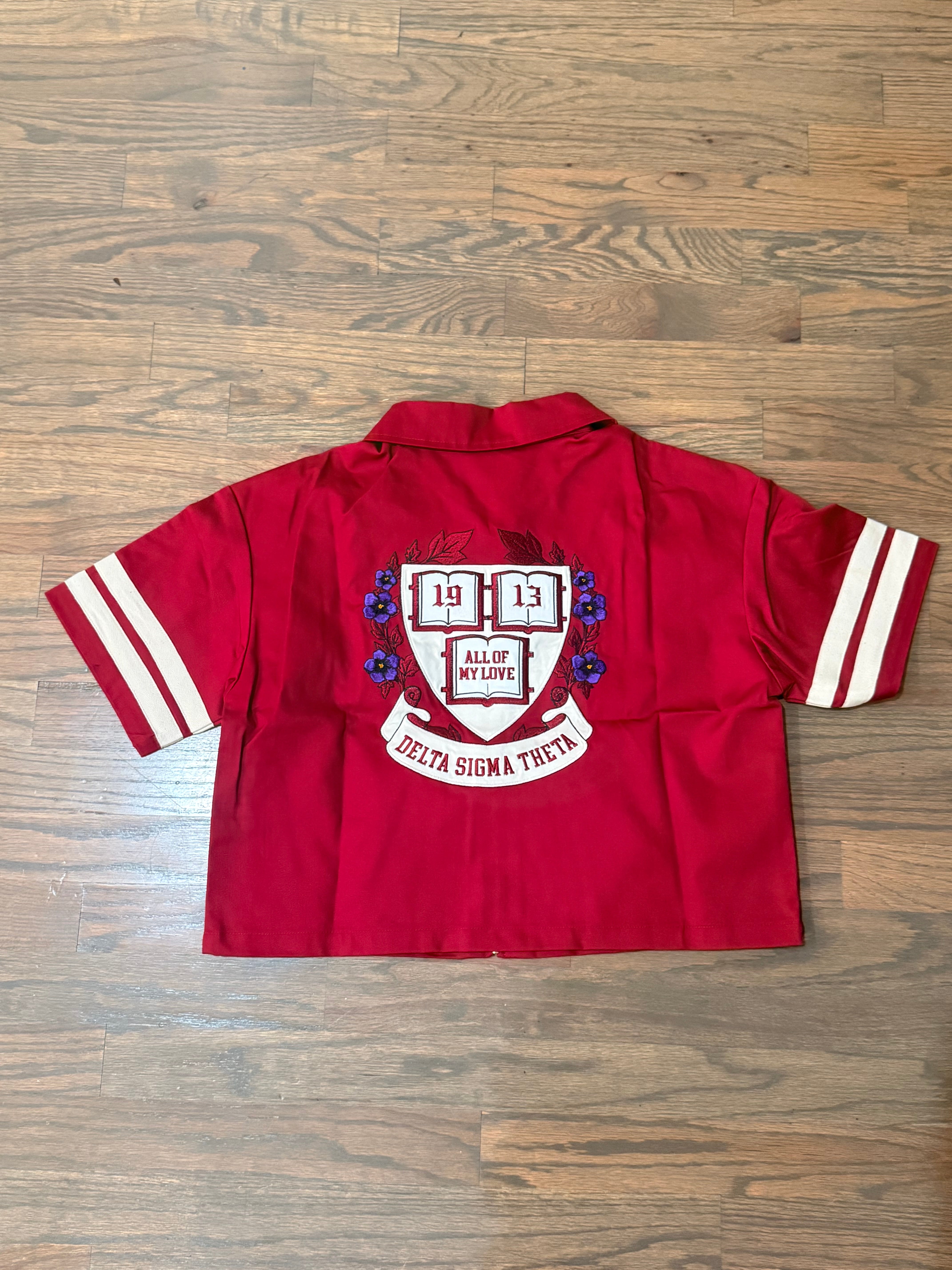 Delta Sigma Theta Mechanical Shirt