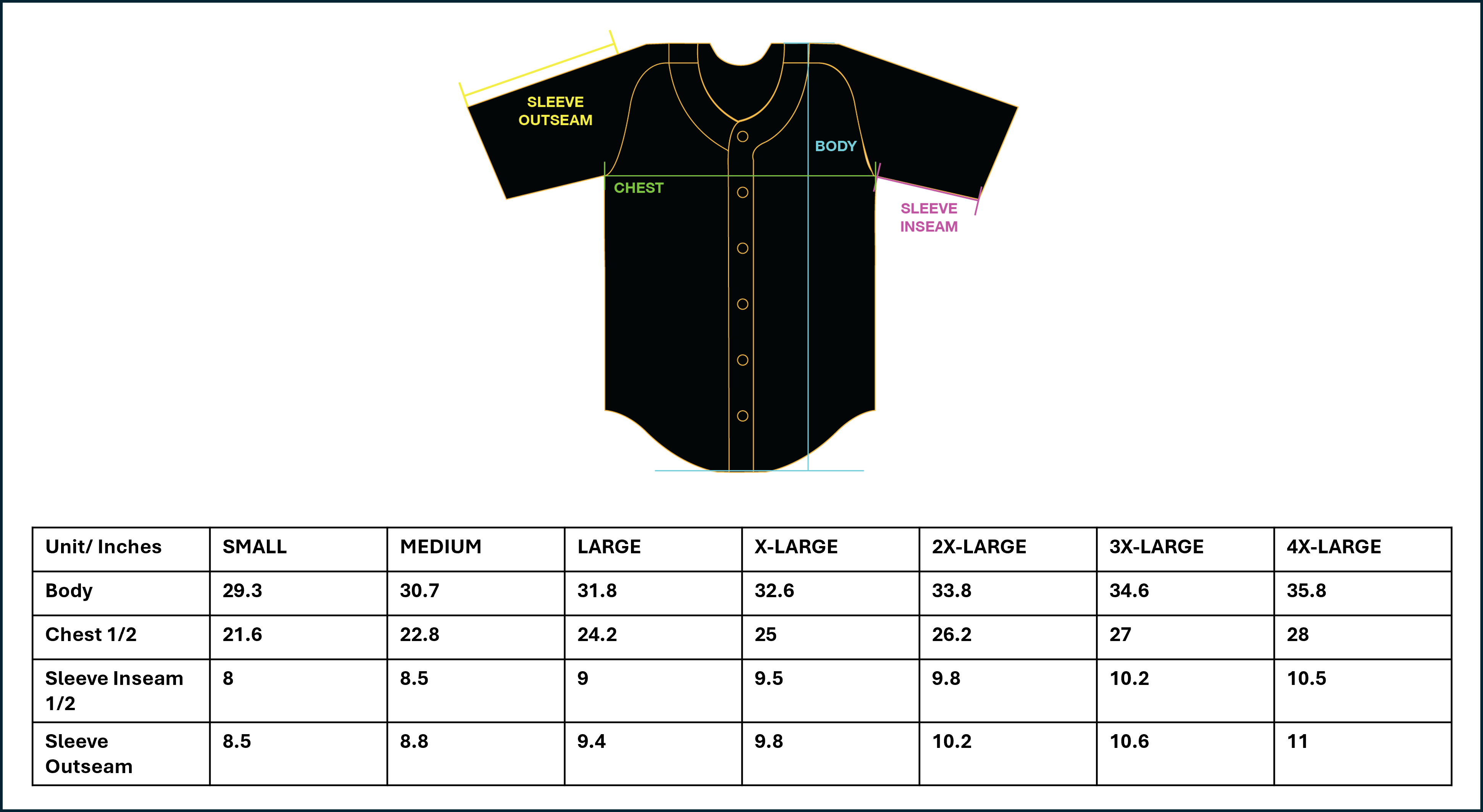 Delta Nu Baseball Jersey (Contact: Toisaun Denson)