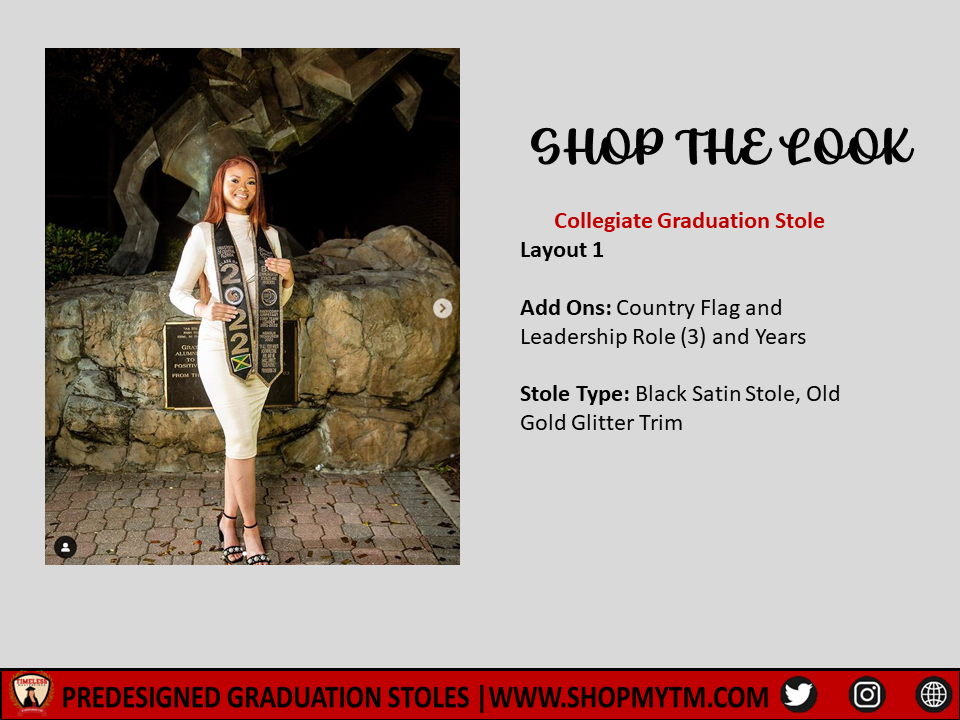 Collegiate Graduation Stole w/ Garment Care Bag