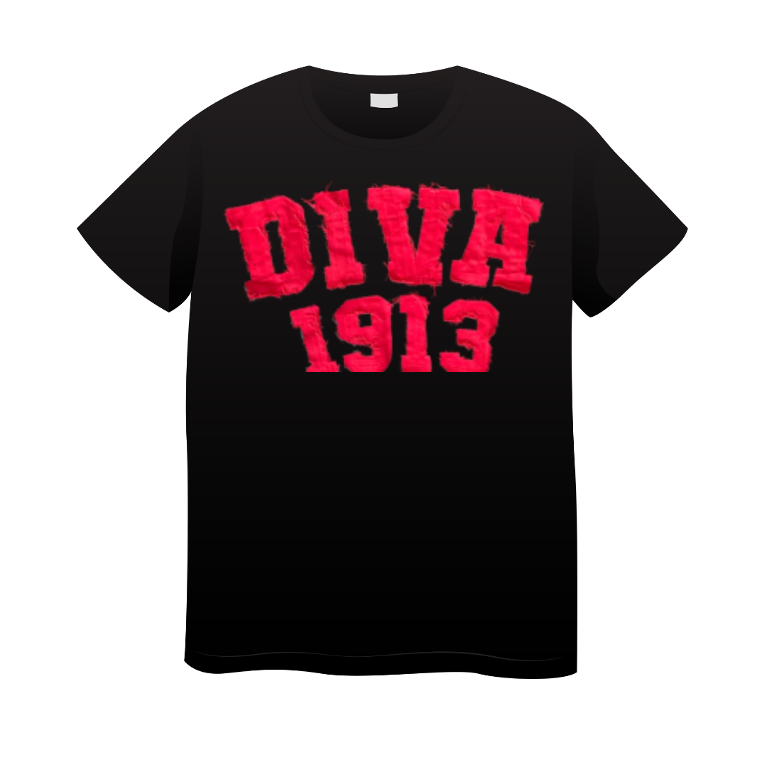 Delta Sigma Theta Diva 1913 Distressed Tee