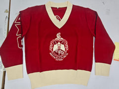 Delta Sigma Theta V Neck Vintage Sweater